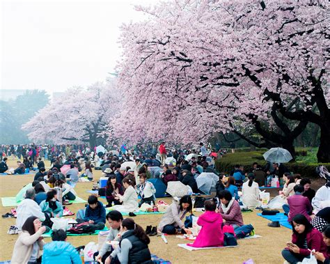 A Time of Rejoice: Pahan's First Day of Spring